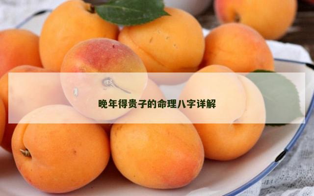 晚年得贵子的命理八字详解