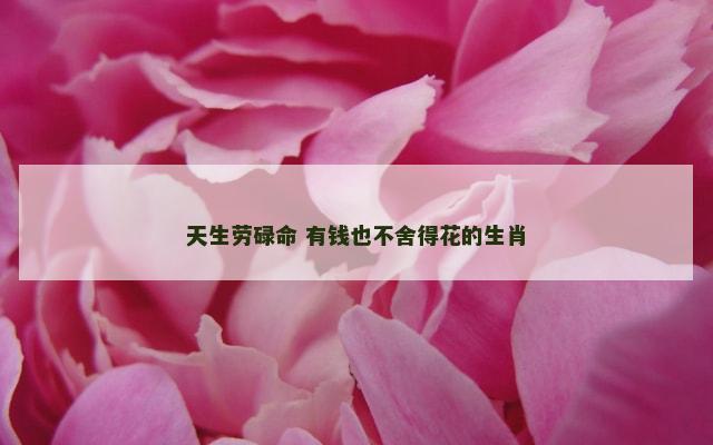 天生劳碌命 有钱也不舍得花的生肖