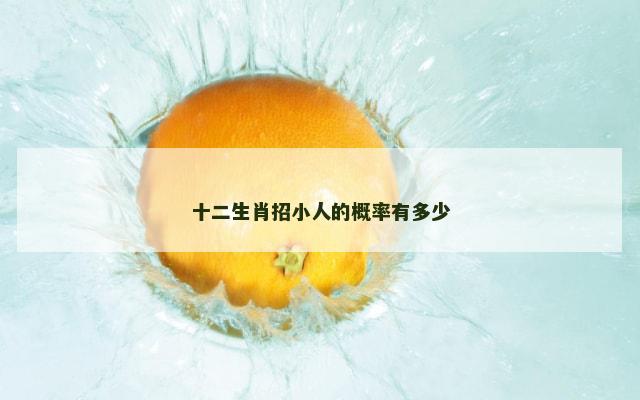 十二生肖招小人的概率有多少