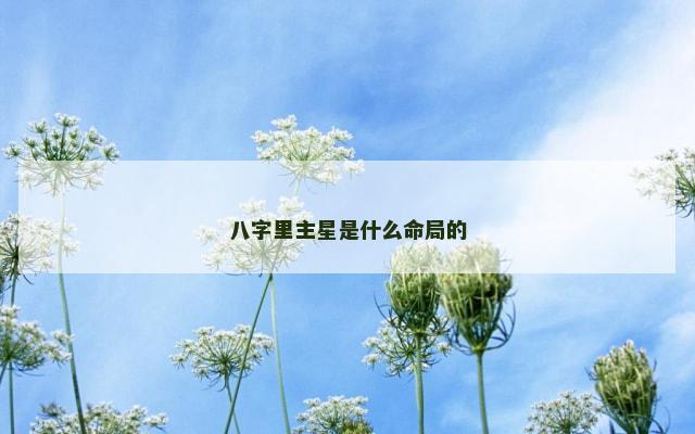 八字里主星是什么命局的