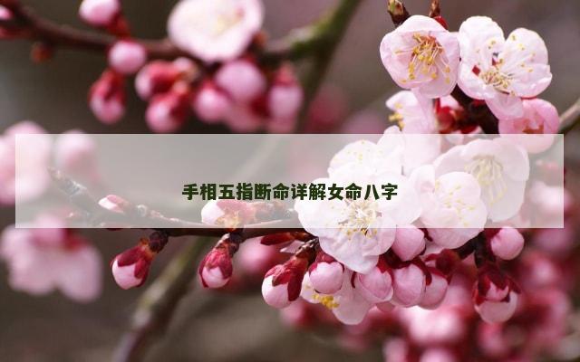 手相五指断命详解女命八字