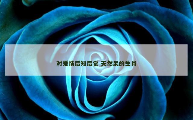 对爱情后知后觉 天然呆的生肖