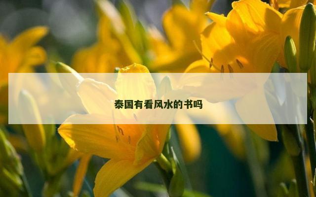 泰国有看风水的书吗