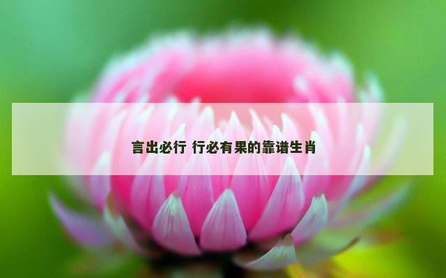 言出必行 行必有果的靠谱生肖