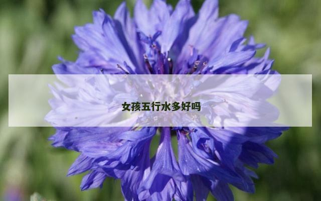 女孩五行水多好吗