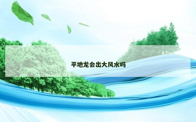 平地龙会出大风水吗