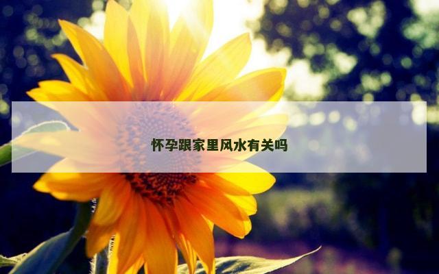 怀孕跟家里风水有关吗