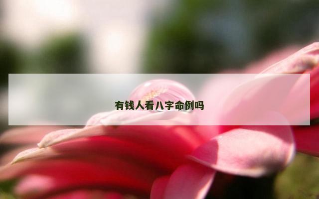 有钱人看八字命例吗