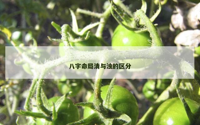 八字命局清与浊的区分