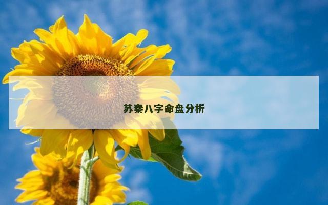 苏秦八字命盘分析