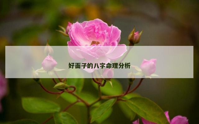 好面子的八字命理分析