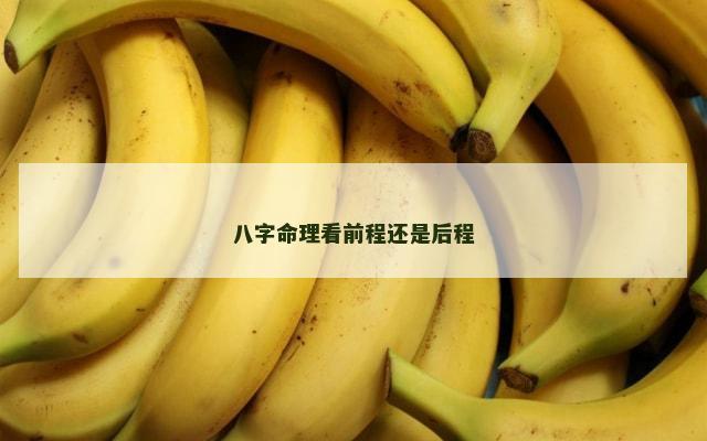 八字命理看前程还是后程