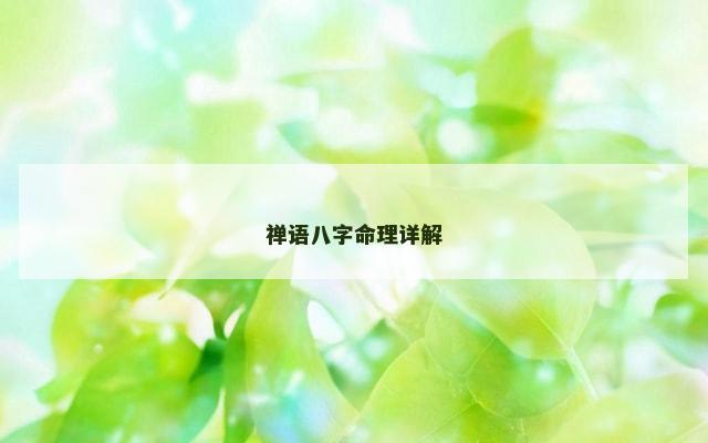 禅语八字命理详解