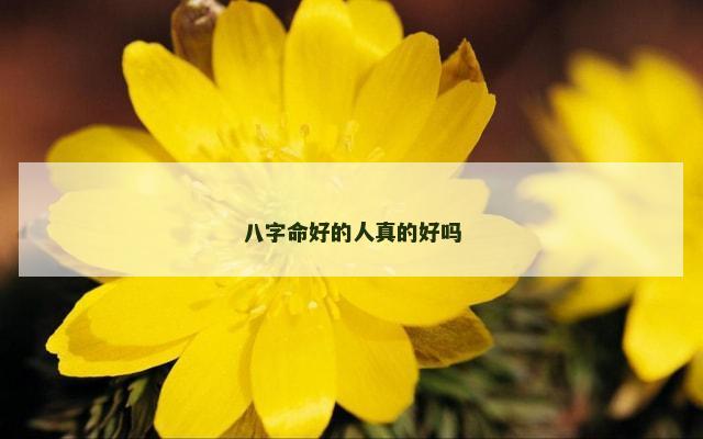 八字命好的人真的好吗