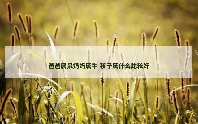 爸爸属鼠妈妈属牛 孩子属什么比较好