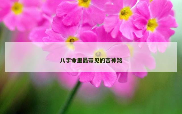 八字命里最带见的吉神煞