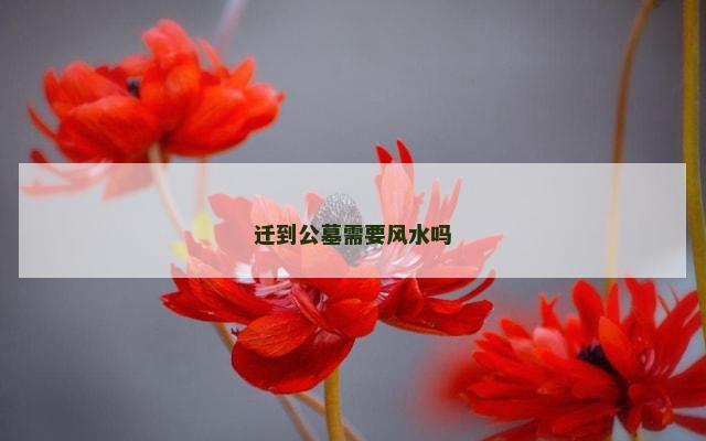 迁到公墓需要风水吗