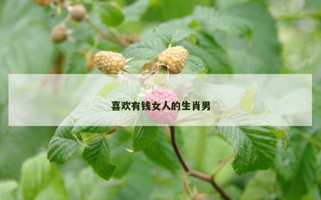 喜欢有钱女人的生肖男