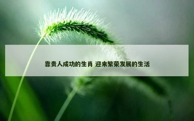 靠贵人成功的生肖 迎来繁荣发展的生活
