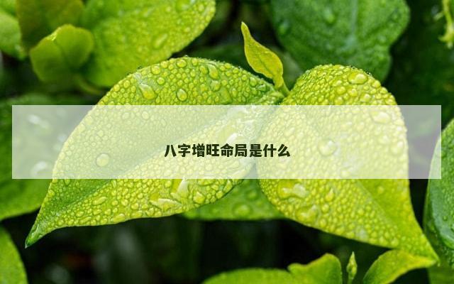 八字增旺命局是什么