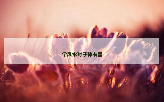 学风水对子孙有害