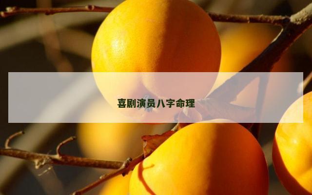 喜剧演员八字命理