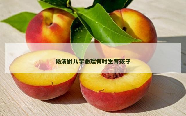 杨清娟八字命理何时生育孩子