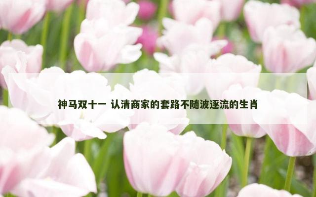 神马双十一 认清商家的套路不随波逐流的生肖