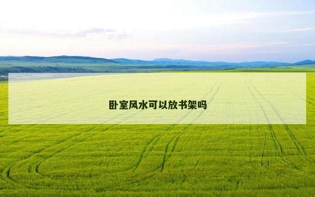 卧室风水可以放书架吗
