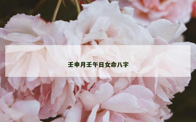 壬申月壬午日女命八字