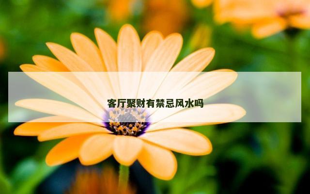 客厅聚财有禁忌风水吗