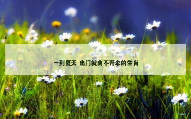一到夏天 出门就离不开伞的生肖