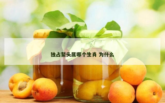 独占鳌头属哪个生肖 为什么