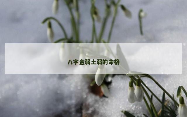 八字金弱土弱的命格