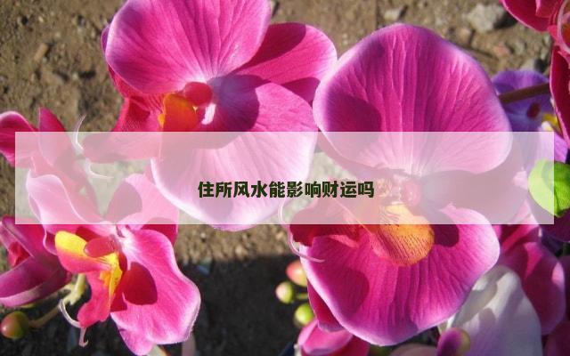 住所风水能影响财运吗