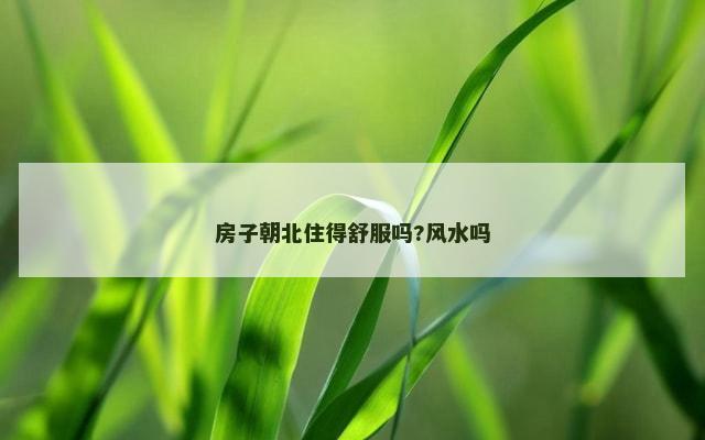 房子朝北住得舒服吗?风水吗