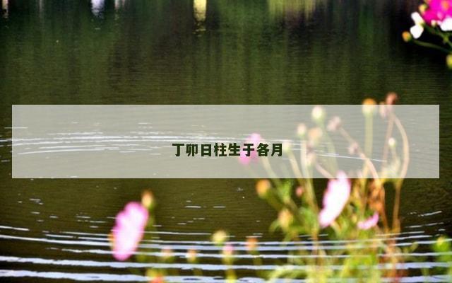 丁卯日柱生于各月