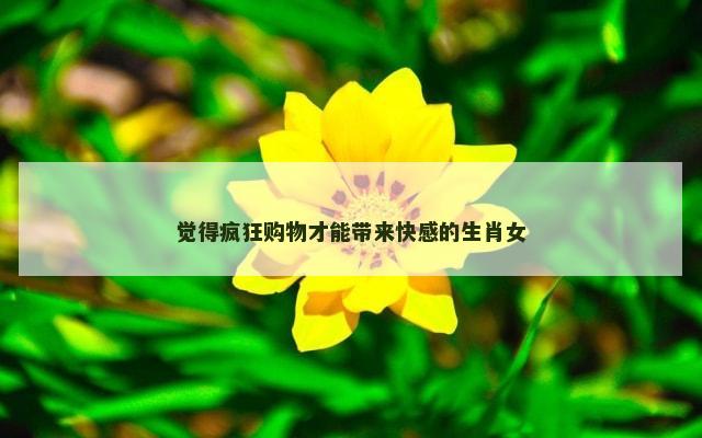 觉得疯狂购物才能带来快感的生肖女