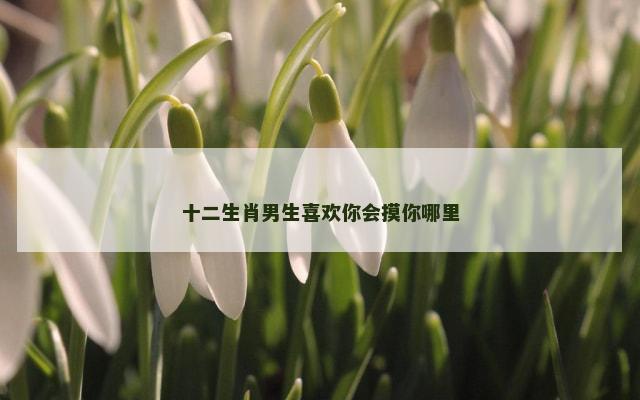 十二生肖男生喜欢你会摸你哪里