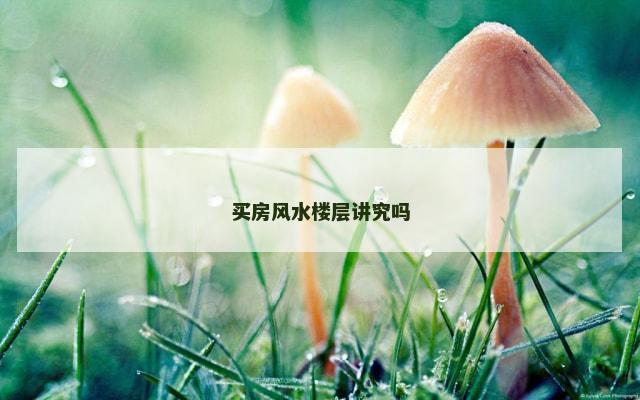 买房风水楼层讲究吗