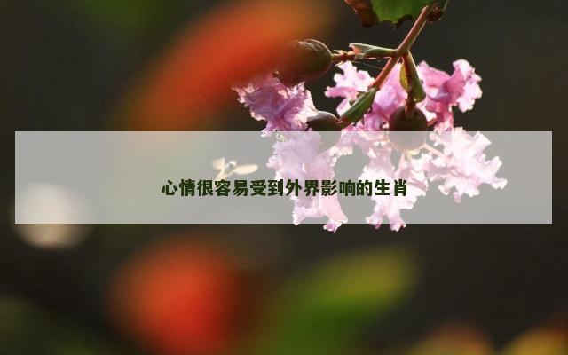 心情很容易受到外界影响的生肖
