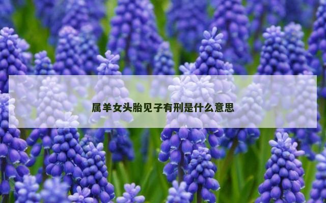 属羊女头胎见子有刑是什么意思