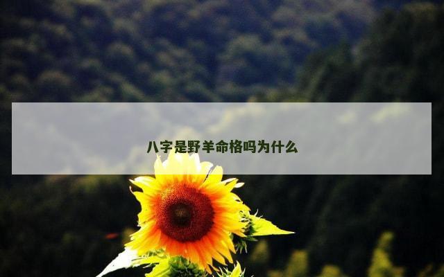八字是野羊命格吗为什么