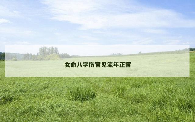 女命八字伤官见流年正官