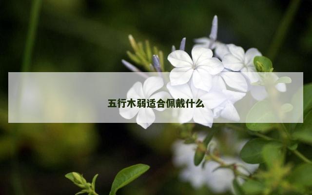 五行木弱适合佩戴什么