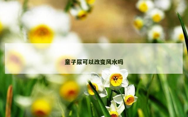 童子尿可以改变风水吗
