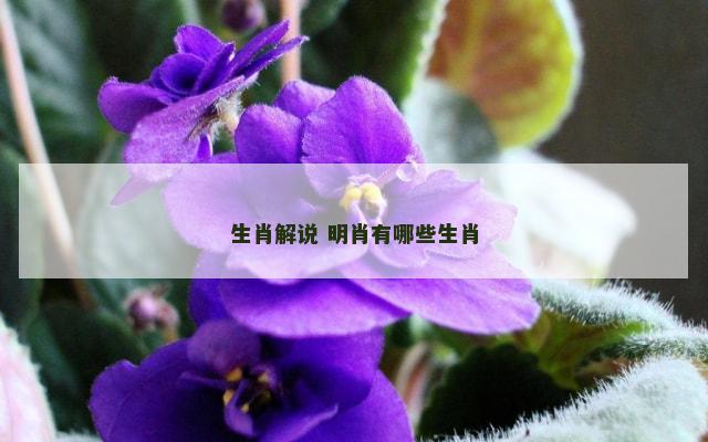 生肖解说 明肖有哪些生肖