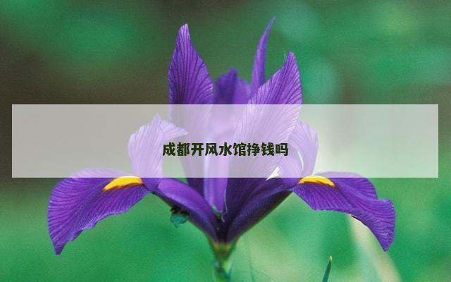 成都开风水馆挣钱吗