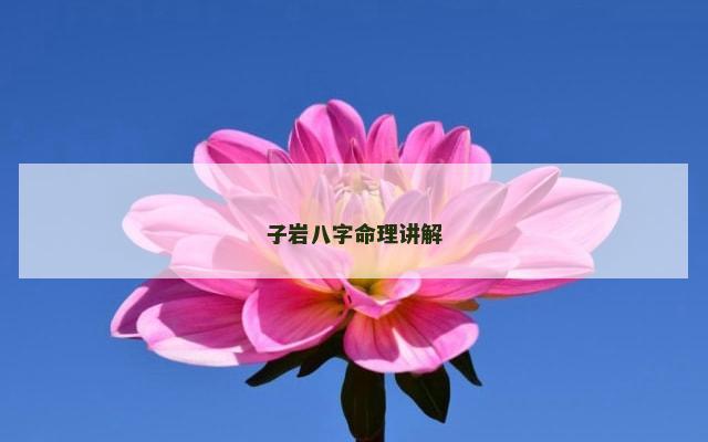 子岩八字命理讲解