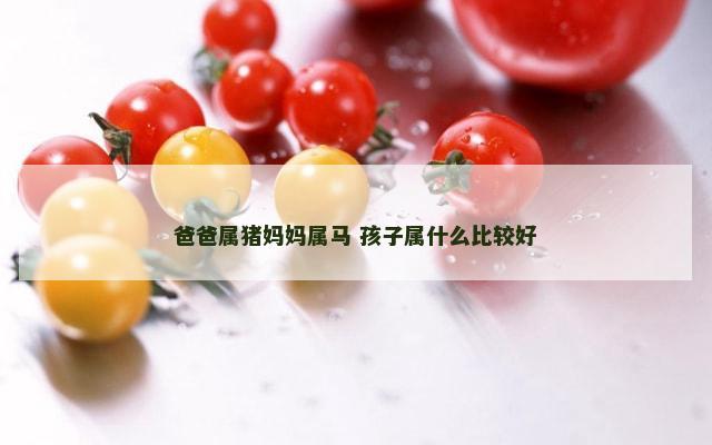 爸爸属猪妈妈属马 孩子属什么比较好